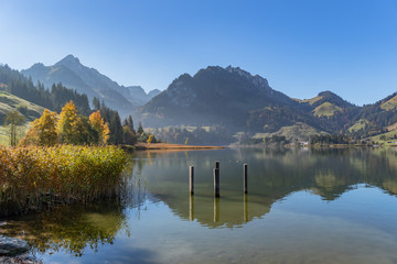 Herbst am Schwarzsee mit aufkommenden Nebel – Fribourg, Schweiz - 306347065