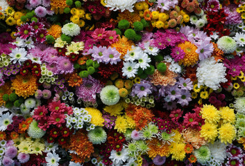 Fototapeta na wymiar Multi-colored flower wall background wedding decoration - close up of colorful real flowers wall background