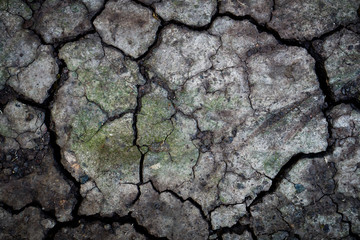 close up, Arid soil for background.
