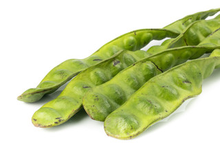 Parkia speciosa seeds, Sato seeds, bitter bean isolated on white background.Thai vegetable food