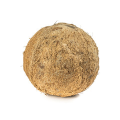 coconuts isolated on white background.Tropical fruit