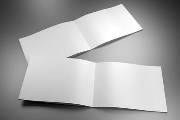 A4/ A5 brochure mockup - pages inside - 3D rendering