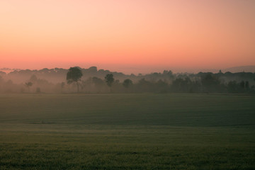 Naklejka premium Cielo teñido del amanecer de invierno con árboles y neblina