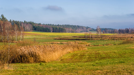 Krajobraz Podlasia, Wzgórza Sokólskie, Jesień na Podlasiu © podlaski49