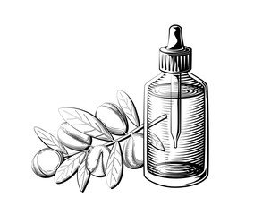 Argan oil bottle illustration. Essential oil glass bottle and argan branch in black and white.