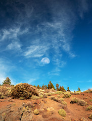 Teide National Park, rocky soil and sparse vegetation. The silhouette of the moon in the sky is visible during the day. Tenerife, Canary Islands, Spain