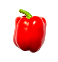 One organic ripe fresh red bell pepper isolated on white background. Capsicum 