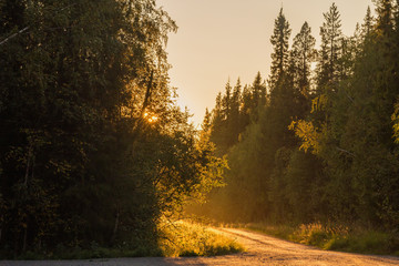 Sweden autumn nature