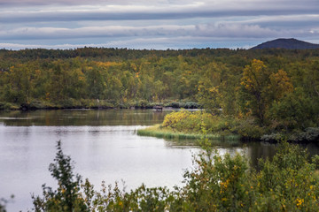 Sweden autumn nature