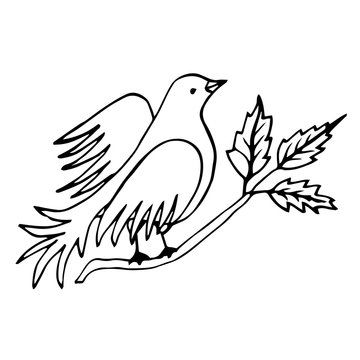 recommend clip art: Vector line drawing bird sitting at tree branch with leaves, sketch of dove, hand drawn bird, isolated nature design element.