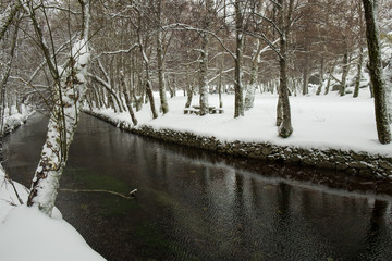 parque