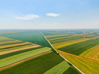 Agriculture fields