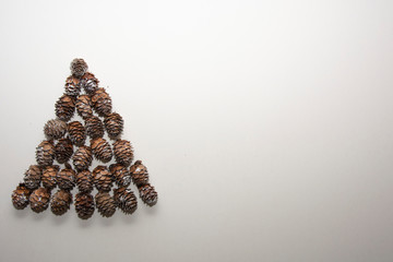 Christmas tree, cones on a white background