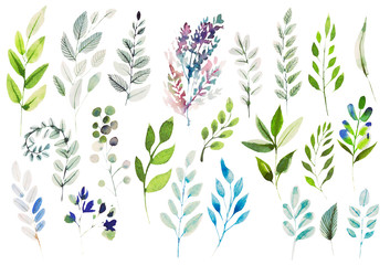 Watercolor set with  different leaves. 