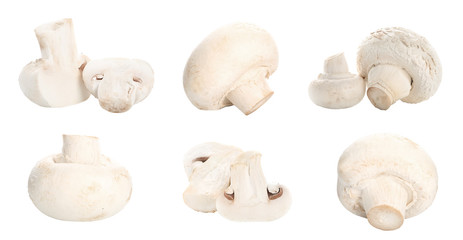 Fresh champignon mushrooms on white background