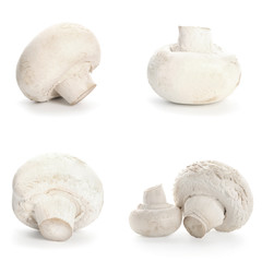 Fresh champignon mushrooms on white background