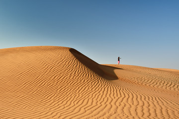 Oman desert landscape of desert - obrazy, fototapety, plakaty