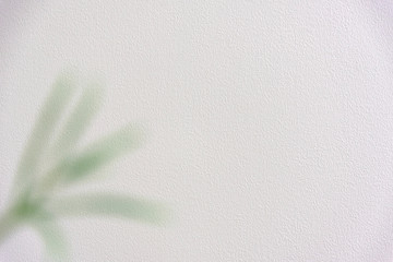 観葉植物のボケ　植物　アップ　部屋　室内　ぼけ　インテリアグリーン　余白　ホワイトスペース　コピースペース　文字スペース　白壁　グラフィック素材　グラフィック背景　背景　壁紙　背景素材　素材　写真　