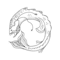 Catfish fish in a circle black outline on a white background isolated icon logo vector illustration embroidery engraving uraboros
