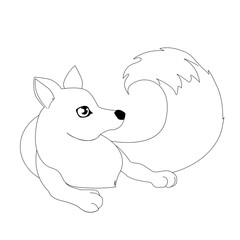 Fox vector illustration