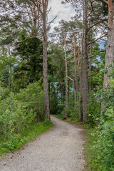 Uferweg von Unterseen nach Interlaken – Thunersee, Schweiz