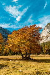 Fototapeta premium Beautiful alpine autumn or indian summer view at the famous Big Maple Ground, Tyrol, Austria