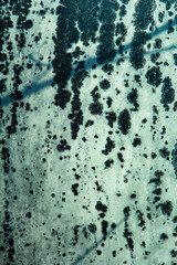 Ice texture on the window