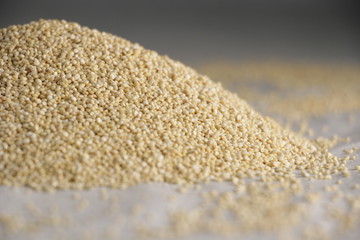 Quinoa chilena