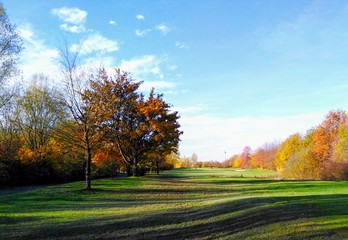 autumn in the park