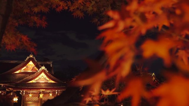 [4K] 日本の秋 京都　北野天満宮 秋の紅葉ライトアップ