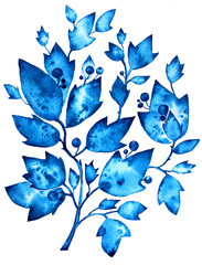 Watercolor blue branch with leaves and berries on white background