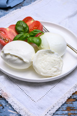 Cheese collection, organic mozzarella soft cheese served with ripe tomato and fresh green basil
