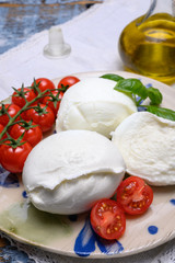 Cheese collection, organic mozzarella soft cheese served with ripe tomato and fresh green basil