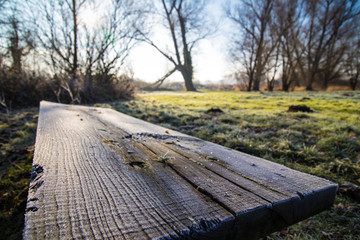 Frosty bench