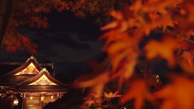 [4K] 日本の秋 京都　北野天満宮 秋の紅葉ライトアップ