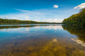 Obraz premium Sommer am See - Wolgastsee auf Usedom