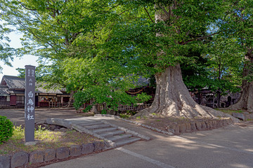 海野宿 白鳥神社