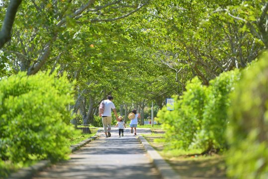 新緑の公園で過ごす家族の風景