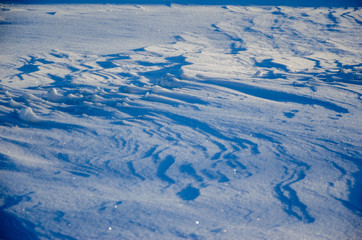 Snowy landscape