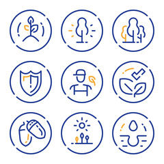 Growing forest, ecological program, volunteer and participation, nature care and improvement © stmool