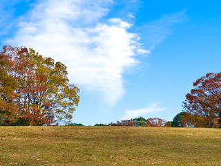 秋　住宅街の公園