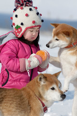 雪遊びをする女の子と柴犬