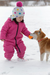 雪遊びをする女の子と柴犬