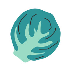 Green cabbage, vegetable, simpe isolated hand drawn illustration, cute cartoon hand made icon, cooking ingredient clip art for cokking menu, cafe, restaurant or farming market.