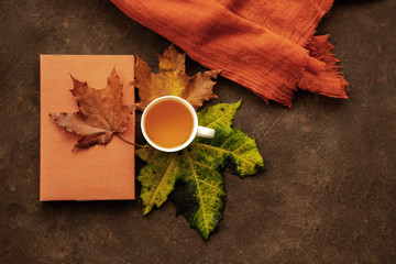 The colors of autumn. A cup of warm herbal tea with a book, maple leaves and a cozy plaid on a warm...
