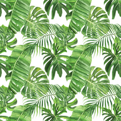  Tropical seamless pattern with tropical leaves, palm banana monstera on an isolated white background, watercolor jungle drawing, stock illustration.