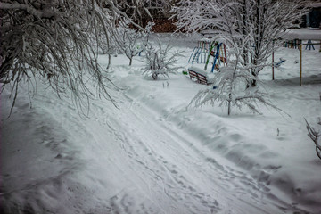 winter landscape with road and snow