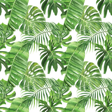 Tropical seamless pattern with tropical leaves, palm banana monstera on an isolated white background, watercolor jungle drawing, stock illustration.
