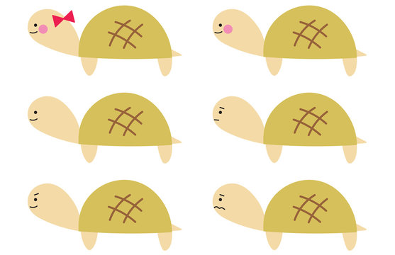 99 Best ゼニガメ Images Stock Photos Vectors Adobe Stock