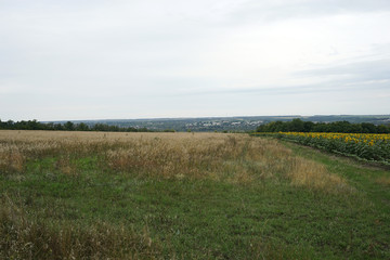 landscape, field, outdoor, road, nature, sky, summer, 